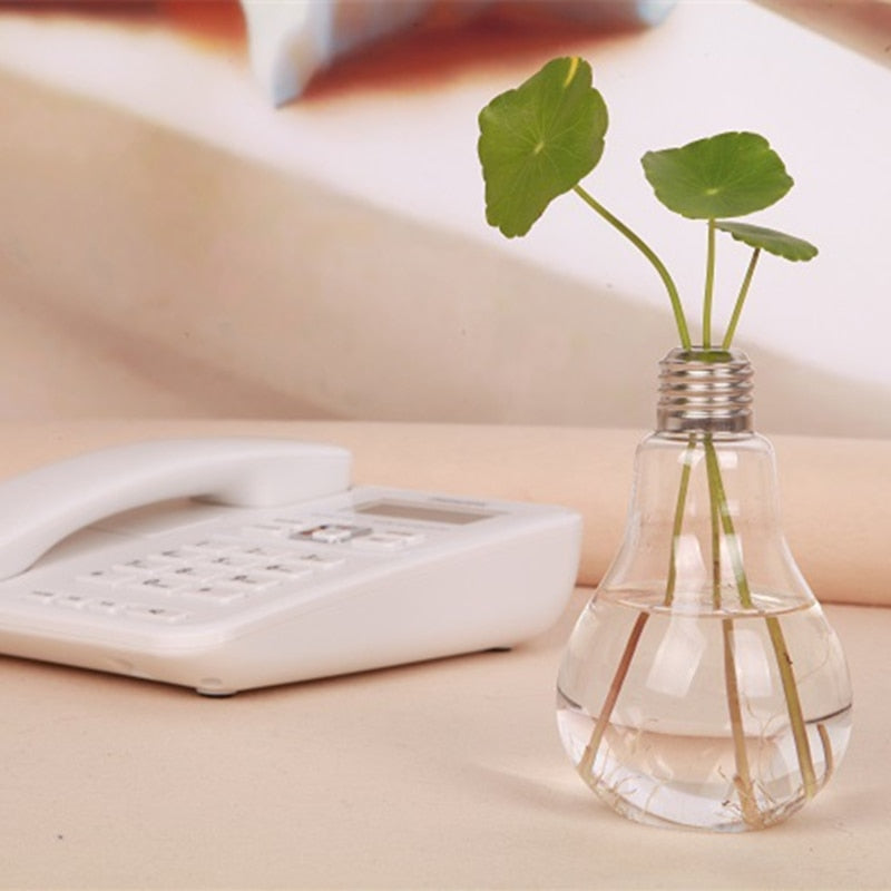 Vaso de Planta em Lâmpada Hidropônico Decorativo - CORES DO VENTO