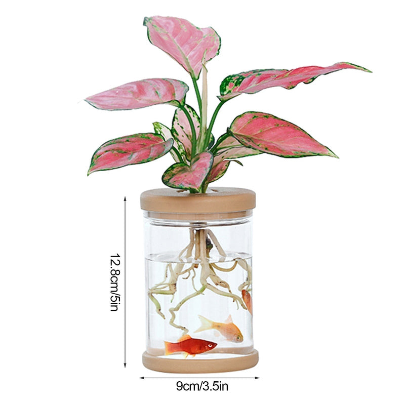 Vaso Hidropônico Decorativo para Plantas | Cultivo Sem Solo para Ambientes Internos- CORES DO VENTO