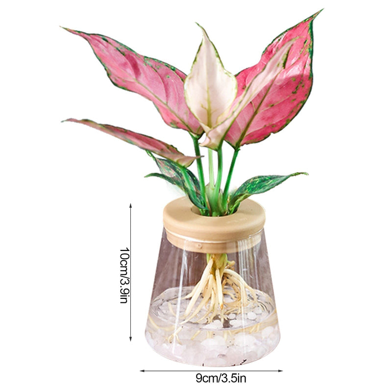 Vaso Hidropônico Decorativo para Plantas | Cultivo Sem Solo para Ambientes Internos- CORES DO VENTO