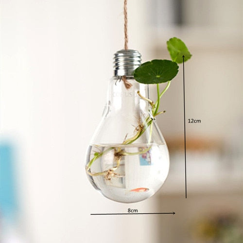 Vaso de Planta em Lâmpada Hidropônico Decorativo - CORES DO VENTO