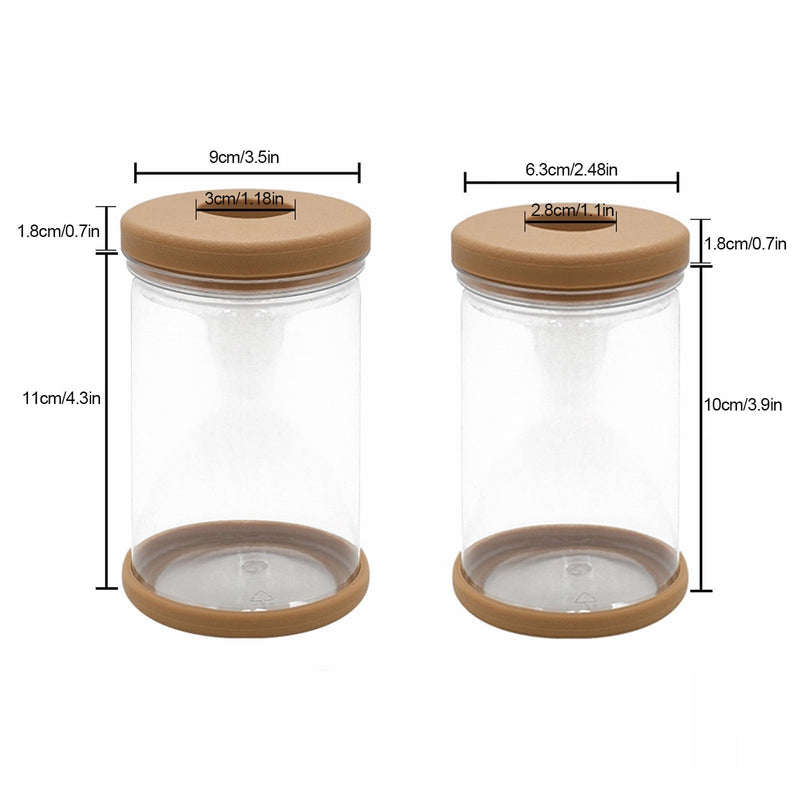 Vaso Hidropônico Decorativo para Plantas | Cultivo Sem Solo para Ambientes Internos- CORES DO VENTO