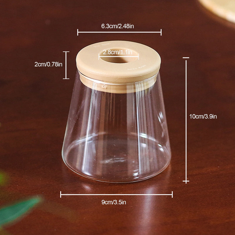 Vaso Hidropônico Decorativo para Plantas | Cultivo Sem Solo para Ambientes Internos- CORES DO VENTO